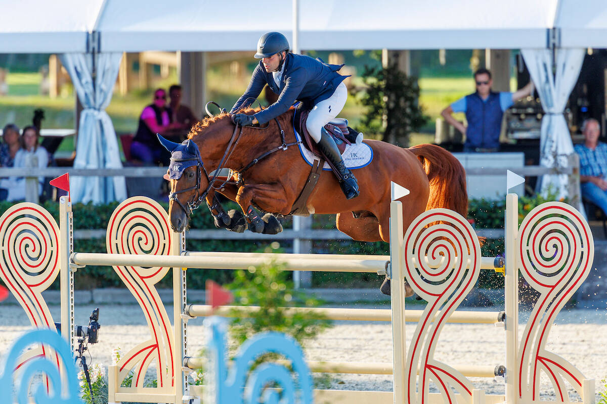 KWPN-goedgekeurde Lambrusco zesde in 1.45m