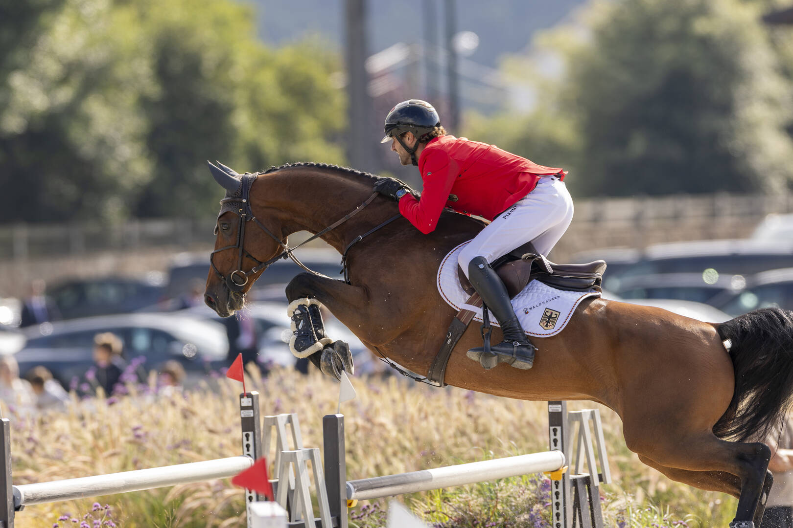 Carrera VDL and Harley VDL deliver three European Championship horses