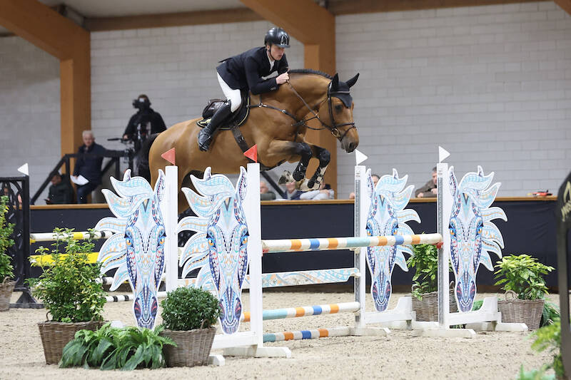 SC Kronenberg: eight KWPN approved stallions double clear