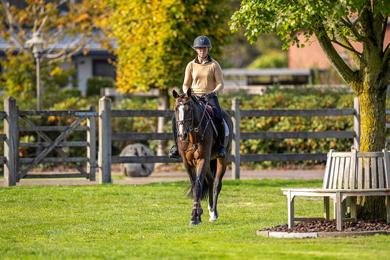 KWPN Magazine | Joy Lammers: "De paarden en de springsport, daar word ik gelukkig van."