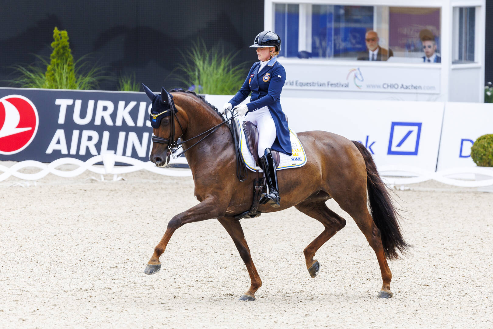 Preferent mares in numbers