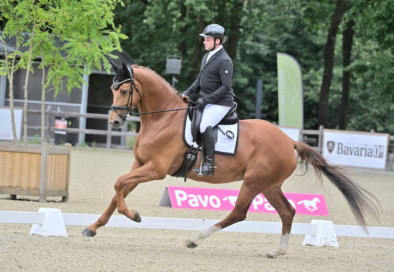 Pavo Perfect Pair Prize voor Luuck Dekker