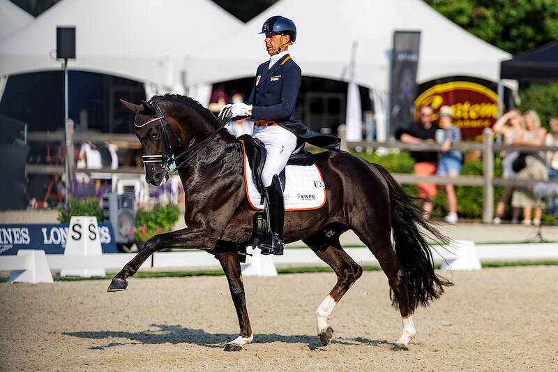 WK-paarden presenteren zich op KWPN Stallion Show