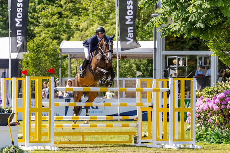 Ginger-Blue wint Grand Prix van Wellington