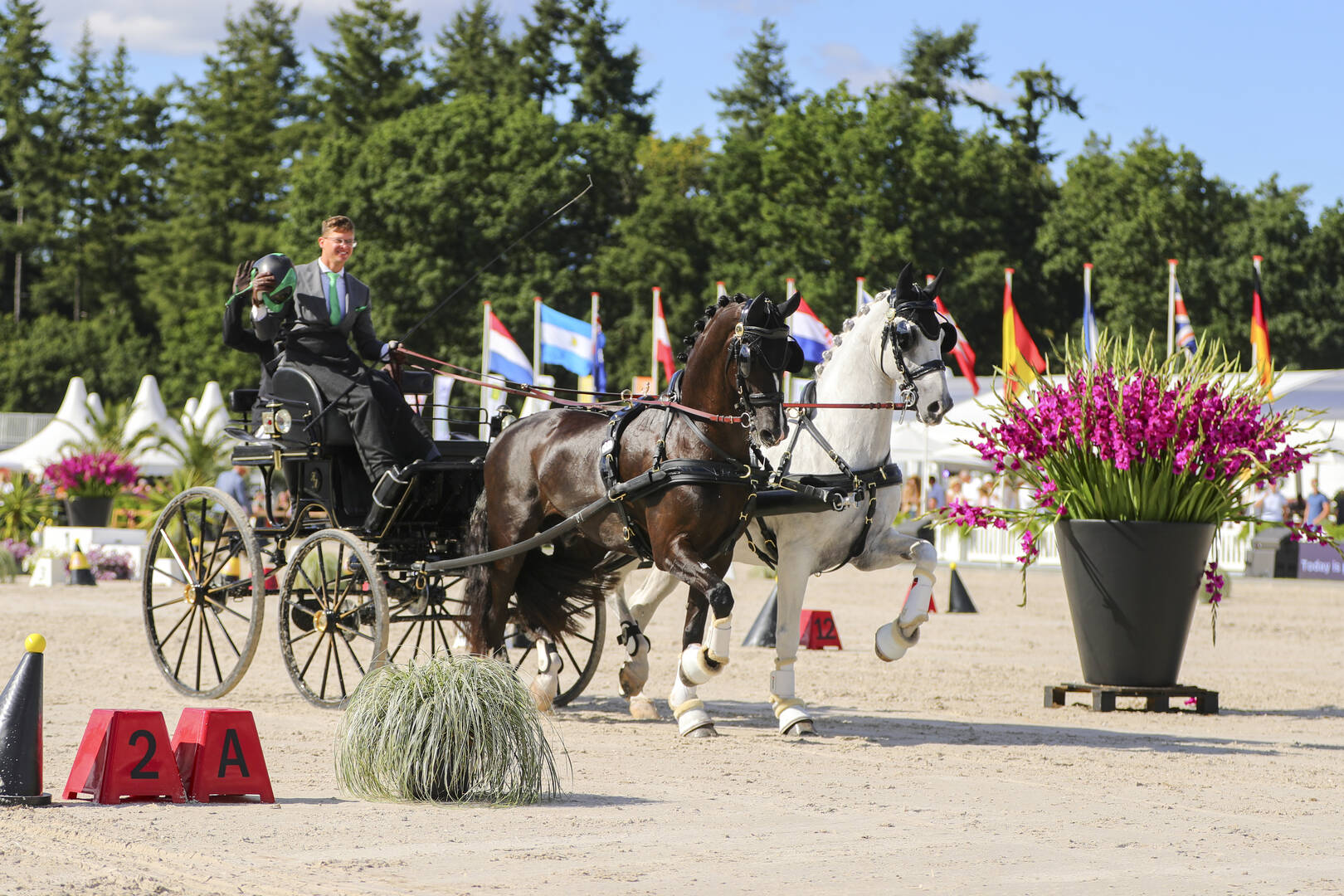 WK Tweespannen: Vijfde keer goud voor Martin Hölle