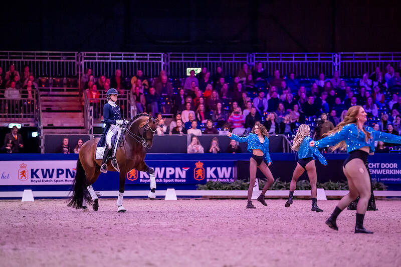 Van Uytert, Reesink Stallions, and Van Olst Horses showcase their star stallions