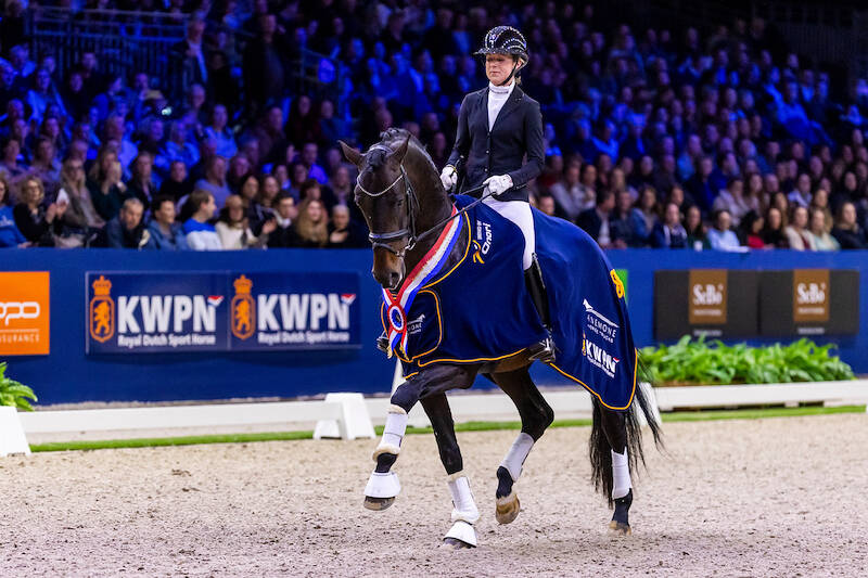 Start list Anemone Horse Trucks Stallion Competition Dressage announced