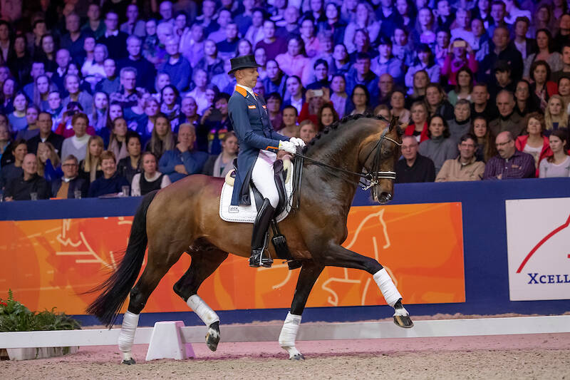 GLOCK's Johnson TN returns during KWPN Stallion Show