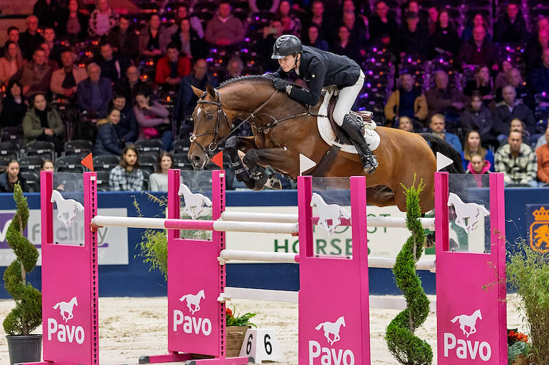 Mindset ES, Baltic VDL en VDL Stud hoofdleveranciers NVK