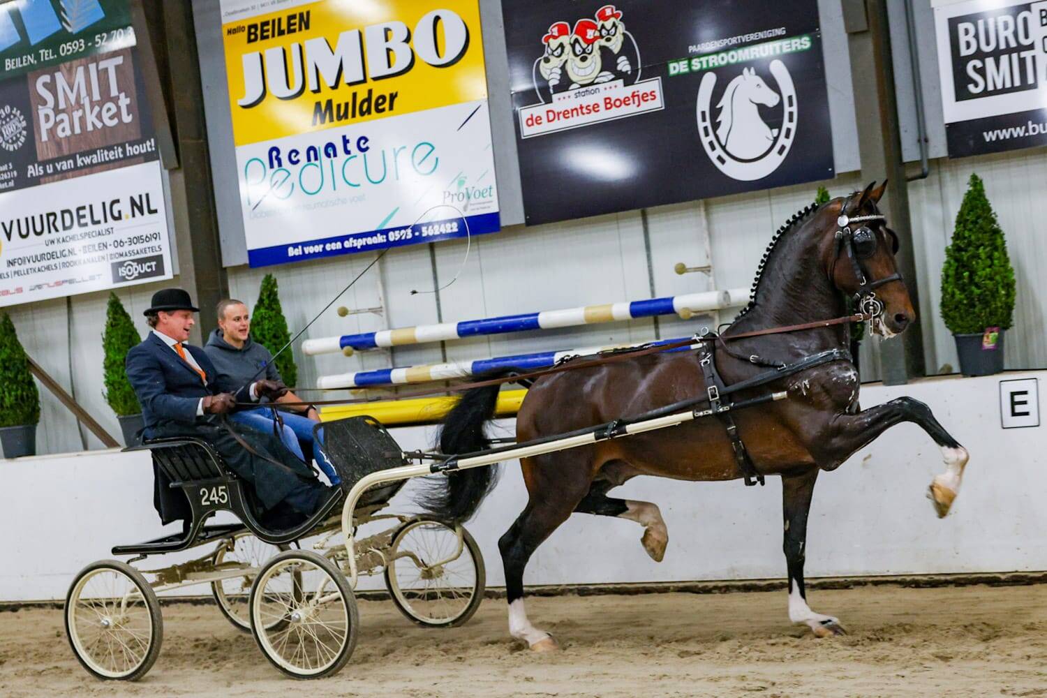 Indoor Beilen: KWPN-hengst Neon GSM overtuigt in ereklasse en wint De Prijs der Besten