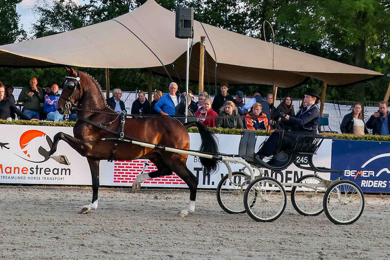 Veel deelname bij Junioren op de Nationale Tuigpaardendag