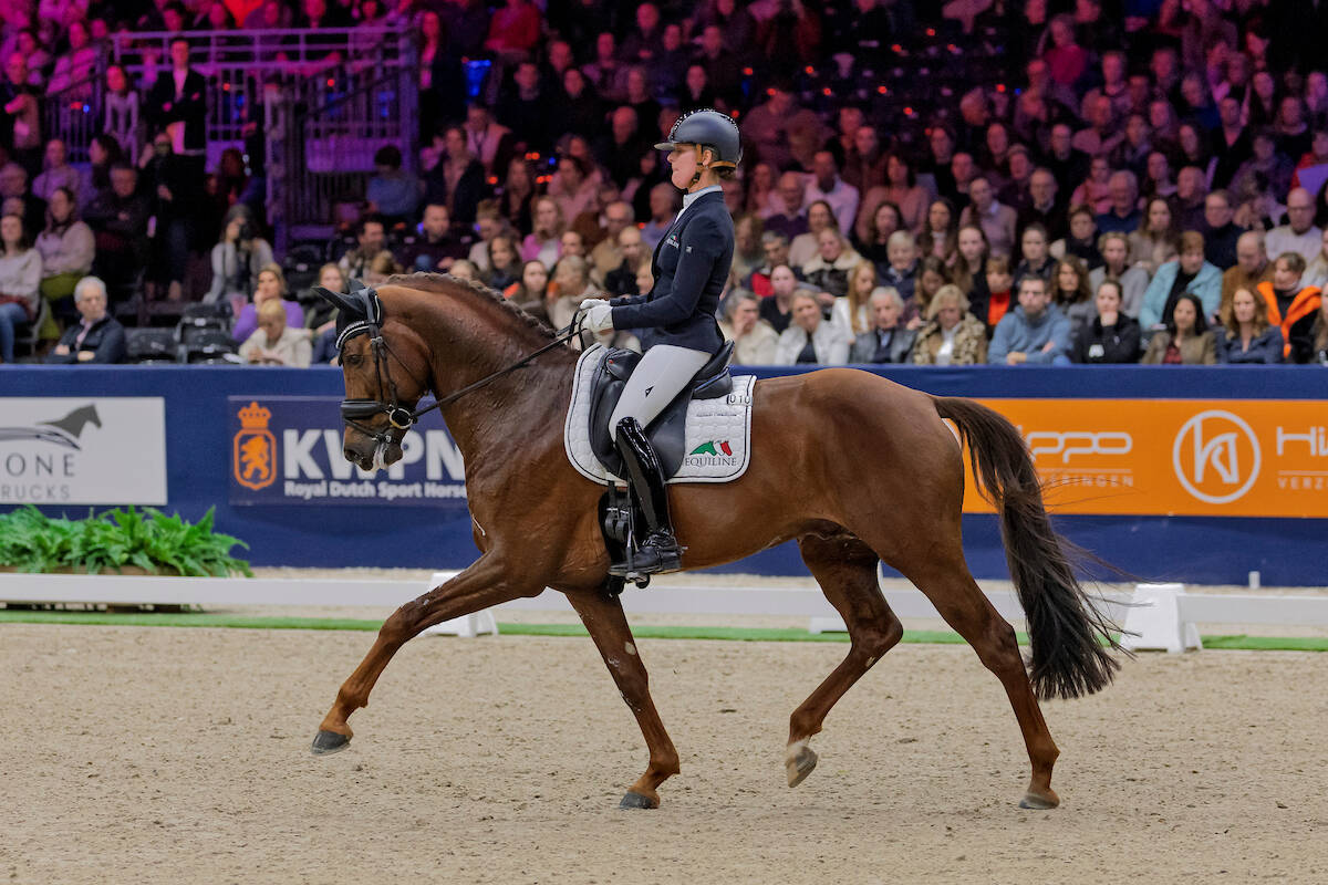 Opnieuw zege in ZZ-Zwaar voor New Dreams