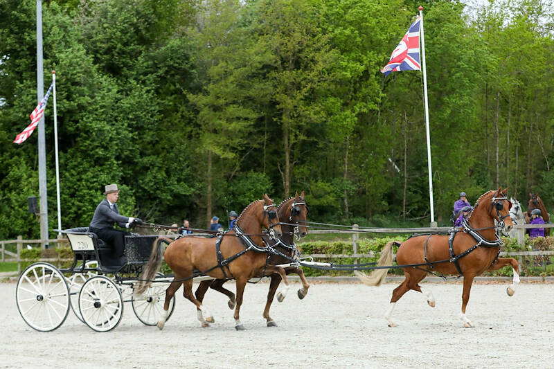 Luitenant, Ditisem en Nolan W voeren ereronde aan in Rondje Drenthe om het Bronzen Bartje