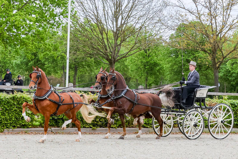 In Eext tweede wedstrijd Rondje Drenthe om het Bronzen Bartje