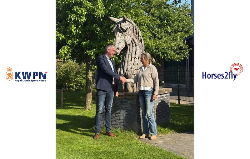 Horses2Fly new Official Partner of KWPN