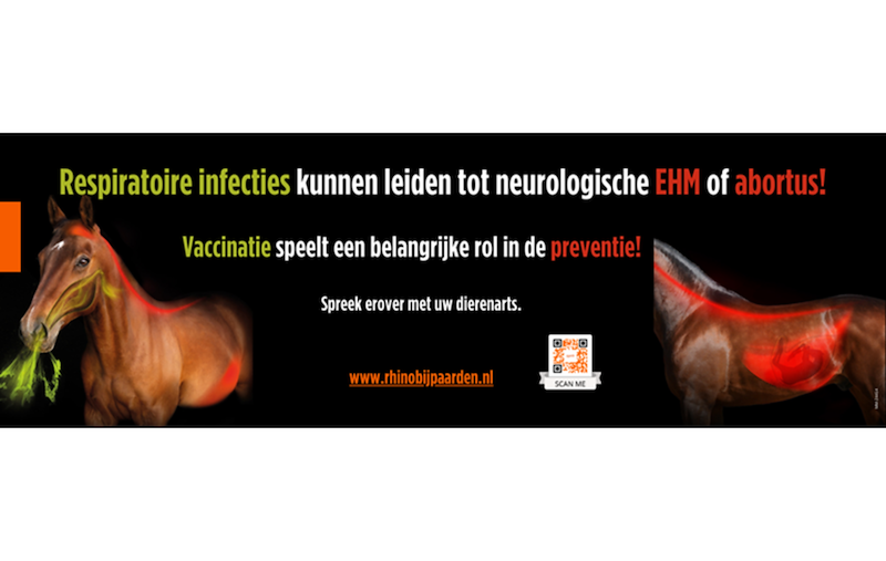 Tips & tricks ter preventie van rhinopneumonie