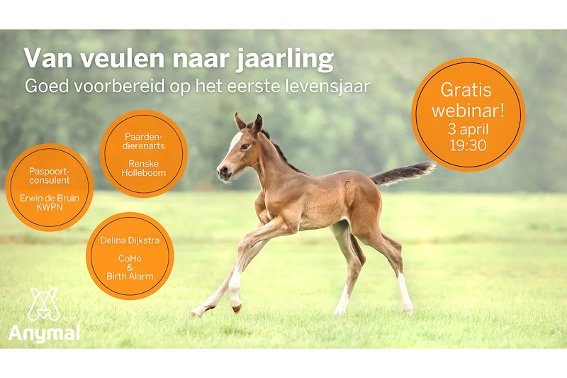 Webinar: Goed voorbereid op het eerste levensjaar