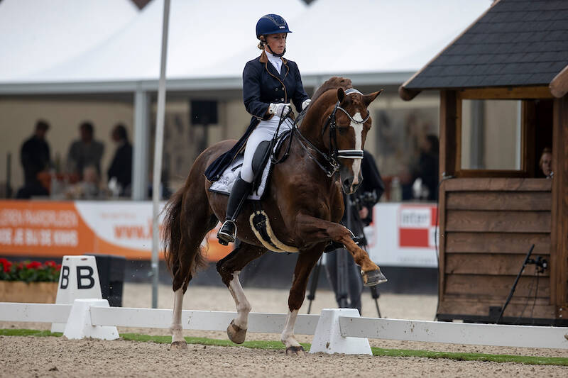 Winst voor Gelderse hengst Atze