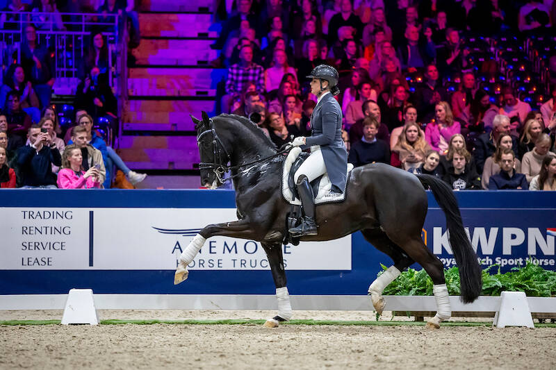 Nordic Blue Hors overtuigt in ZZ-Zwaar
