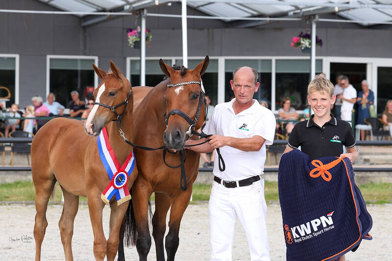 CK Harich: Boston VDL-dochter Vareina VDL kampioen springveulens