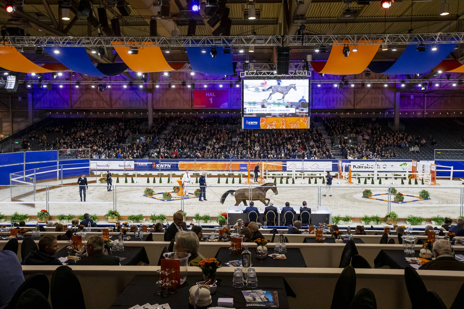 Neem deel aan de georganiseerde reis naar de KWPN Stallion Show