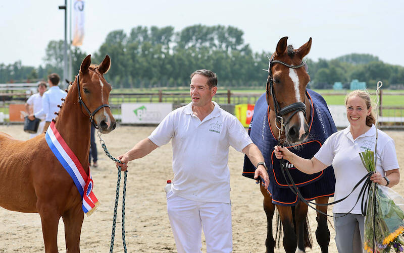 CK Middenbeemster: Le Formidable-zoon Vrolijke Noot F gekroond tot kampioen dressuurveulens