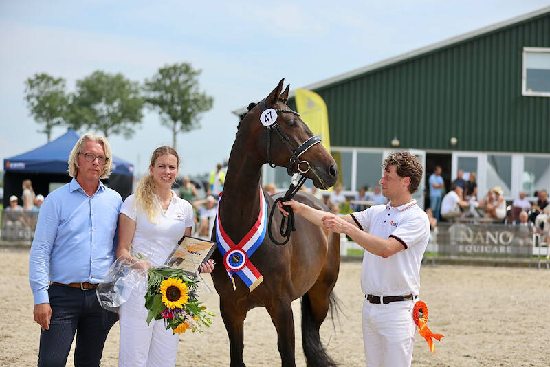 CK Middenbeemster: Phillippa D’Or v/d Debbehoeve kampioen oudere dressuurmerries
