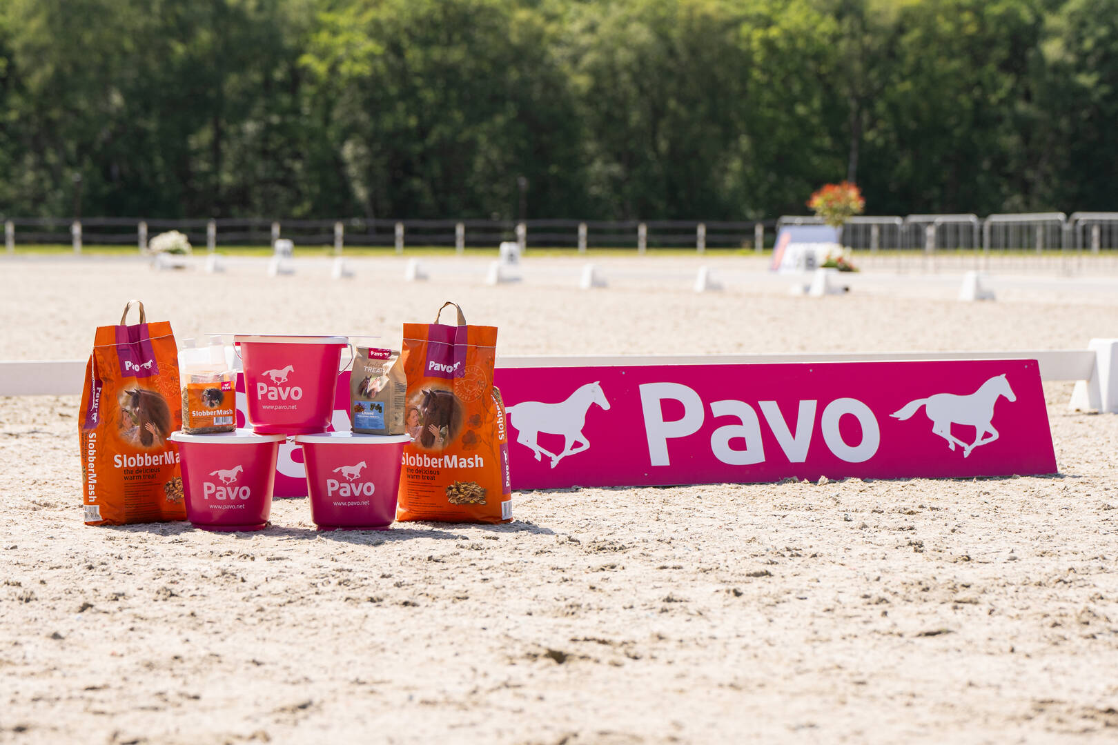 Aan de slag als QA Officer Paard bij sponsor Pavo?