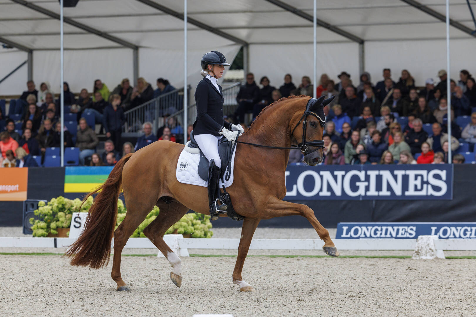 Simone Pearce gastamazone Pavo Cup