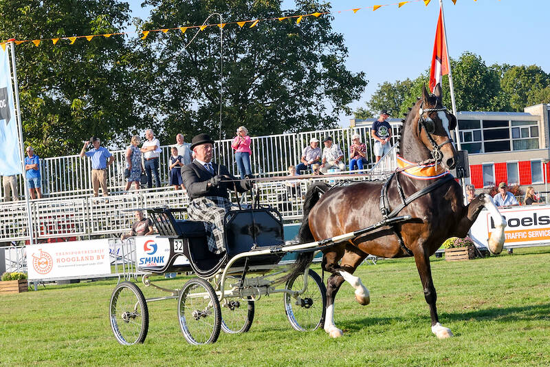 Eebert-dochter Petra-1-T kampioen vierjarigen