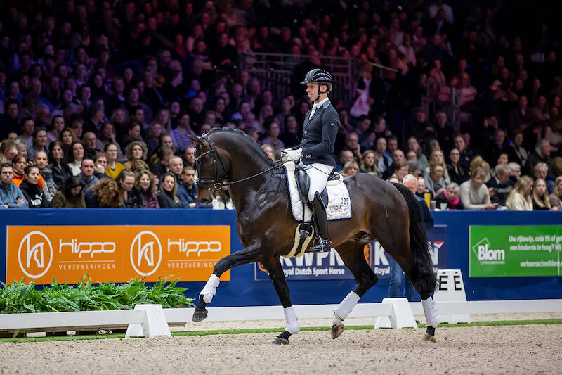 Complete Pina Colada gehuldigd als winnaar Hengstencompetitie klasse L