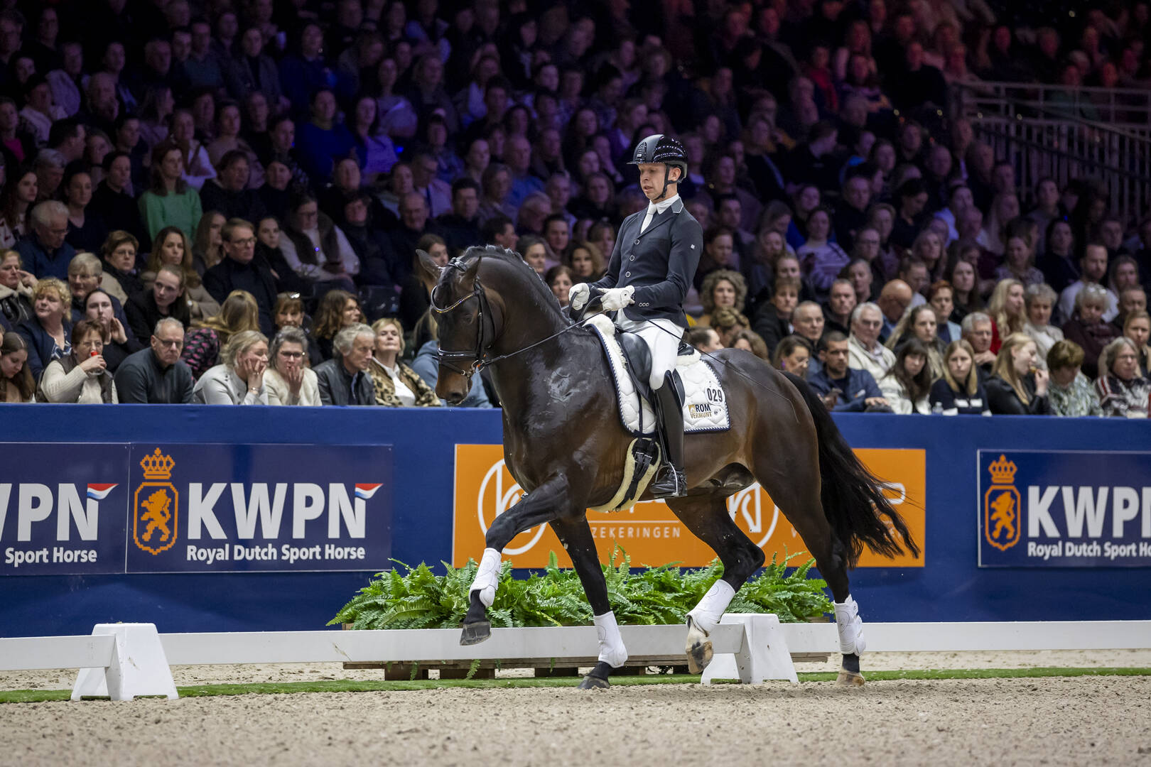Startlijst Anemone Horse Trucks Hengstencompetitie Dressuur IJsselmuiden gepubliceerd