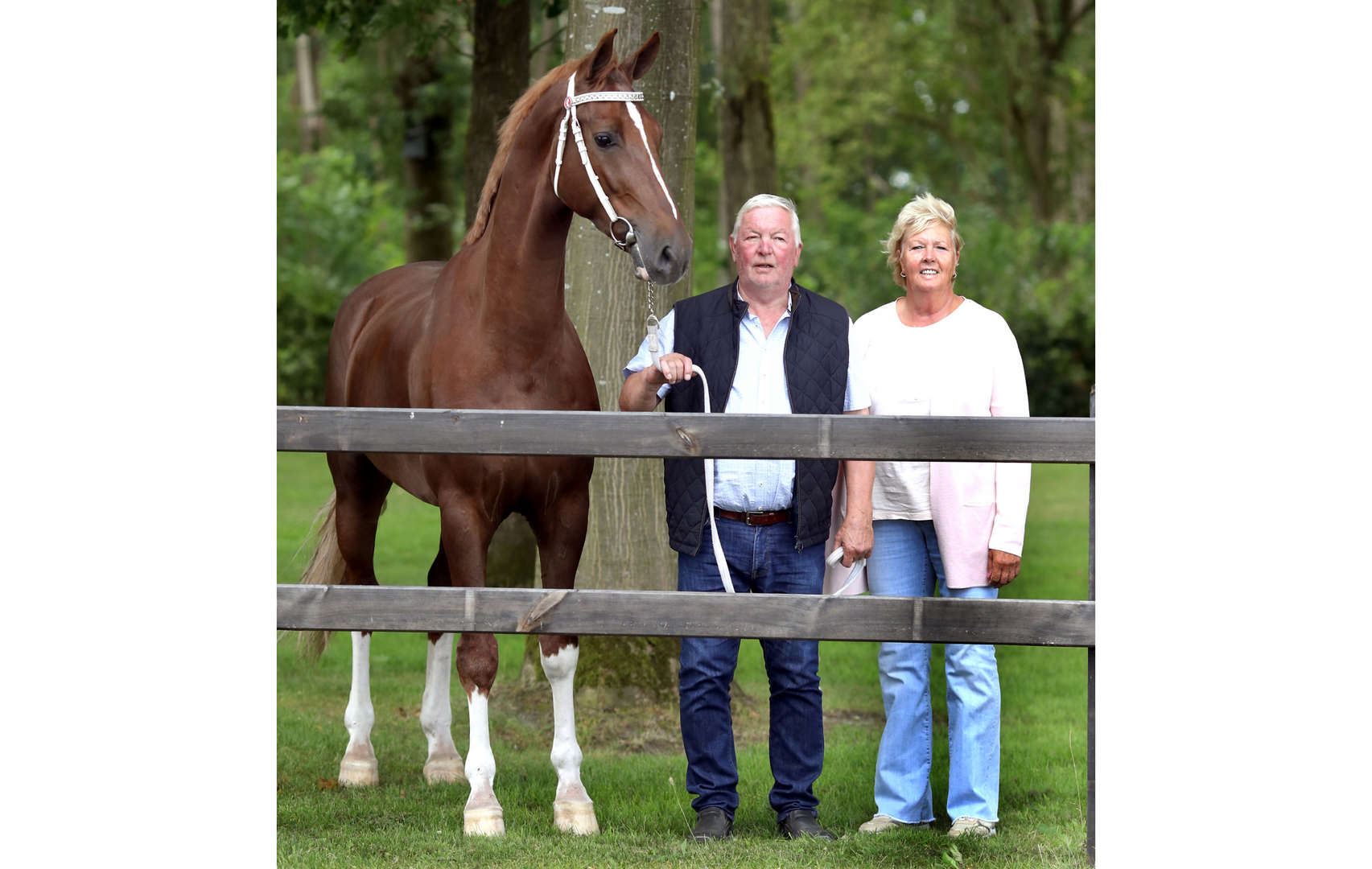 KWPN Magazine | Hans en Corrie Pos: "Tuigpaardensport is een eresport"