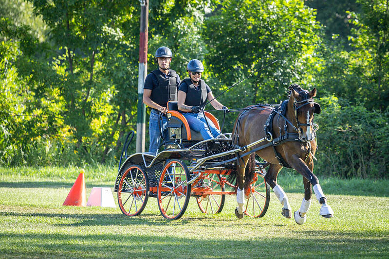 Proud Walda wint bronzen medaille op WK Jonge Menpaarden