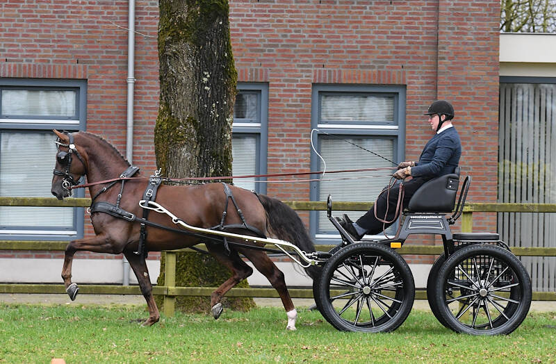 Royal King en Raffael K definitief goedgekeurd