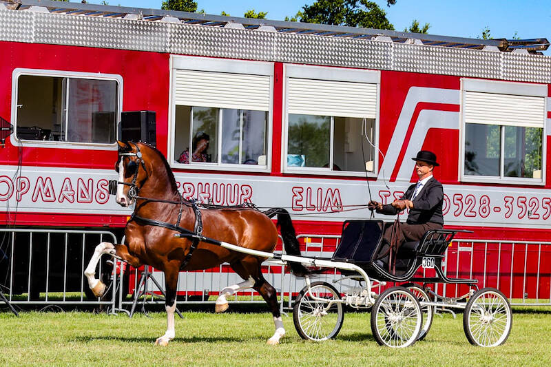 Derk Jan Mekkes randemkampioen, Olympus HS wint Grote Prijs van Drogeham