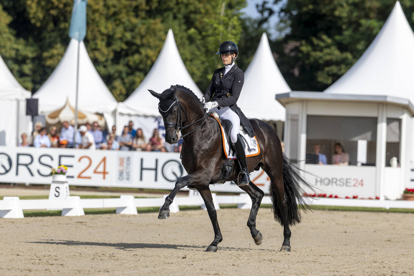 Medailles voor Most Wanted Nero von Bellin en Ilegro