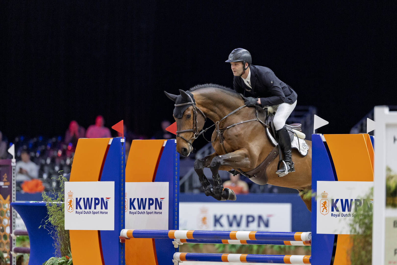 Nieuwe jaargang goedgekeurde hengsten op de KWPN Stallion Show 2026