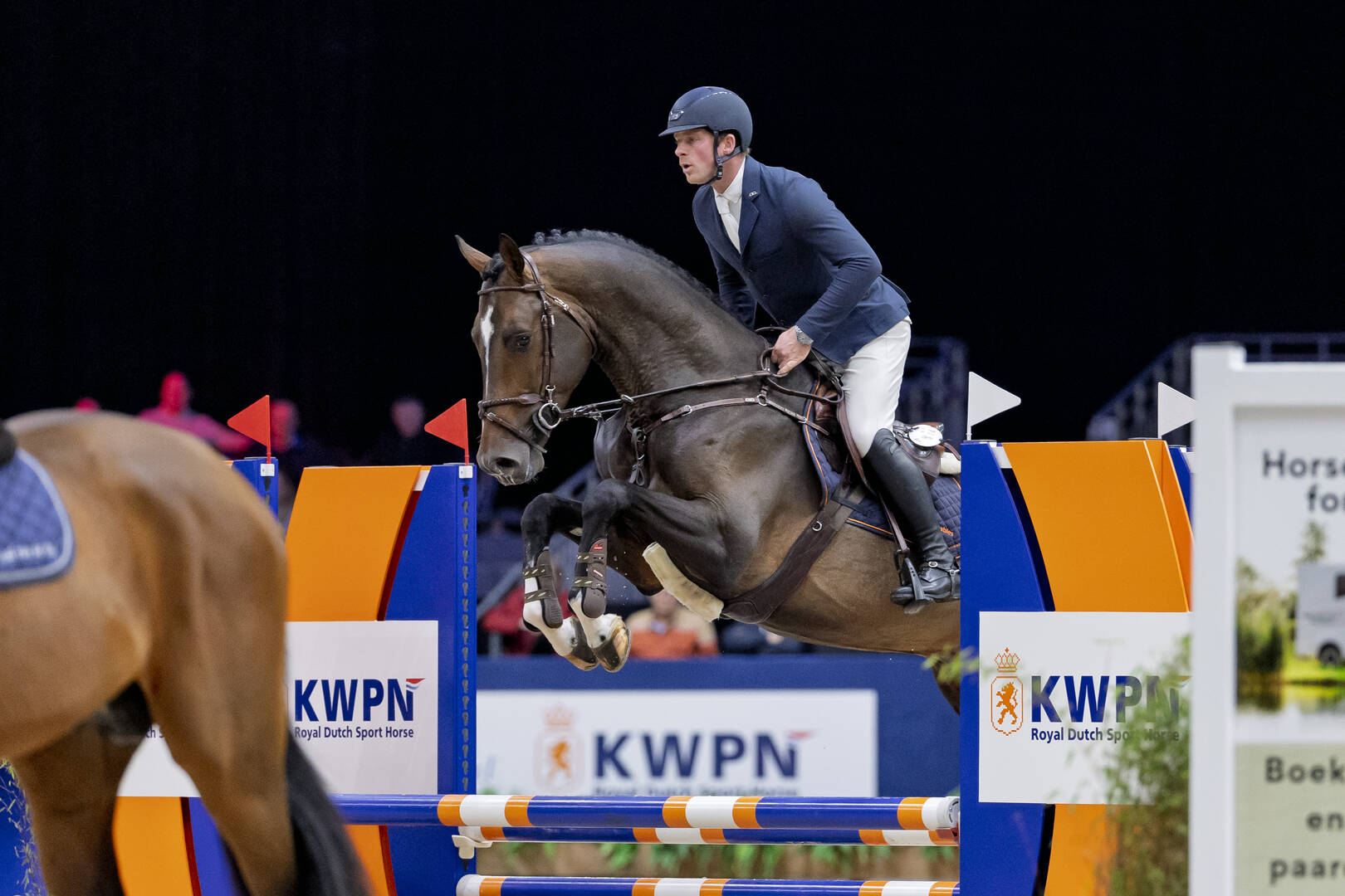 Nieuwe jaargang springhengsten presenteert zich op de KWPN Stallion Show 2026