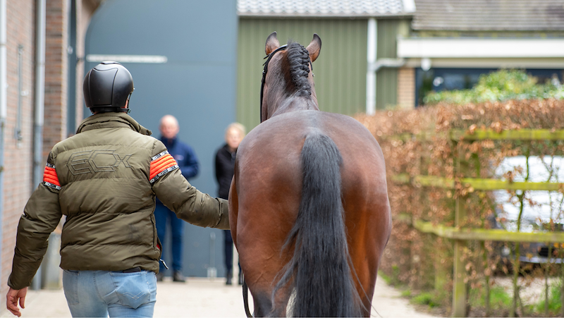 Programmawijziging donderdag eerste bezichtiging