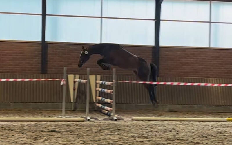 SK Luttenberg: twee springmerries uitgenodigd voor NMK