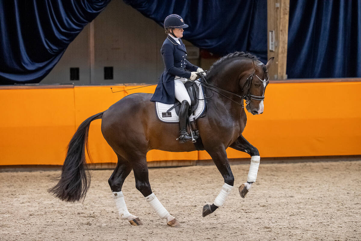 Hitmaker en Jewel’s Goldstrike scoren op hoogste niveau