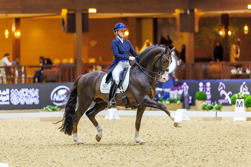 KWPN-erkende hengst Blue Hors Don Olymbrio (17) overleden