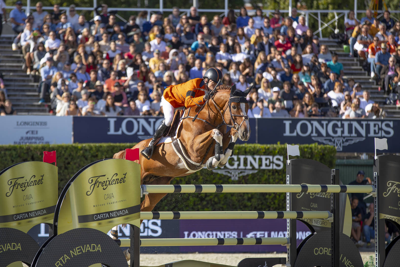 Emerald van ’t Ruytershof voert tweede bezichtiging KWPN Stallion Show aan