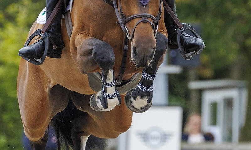 Wout Jan van der Schans nieuwe bondscoach springruiters TeamNL