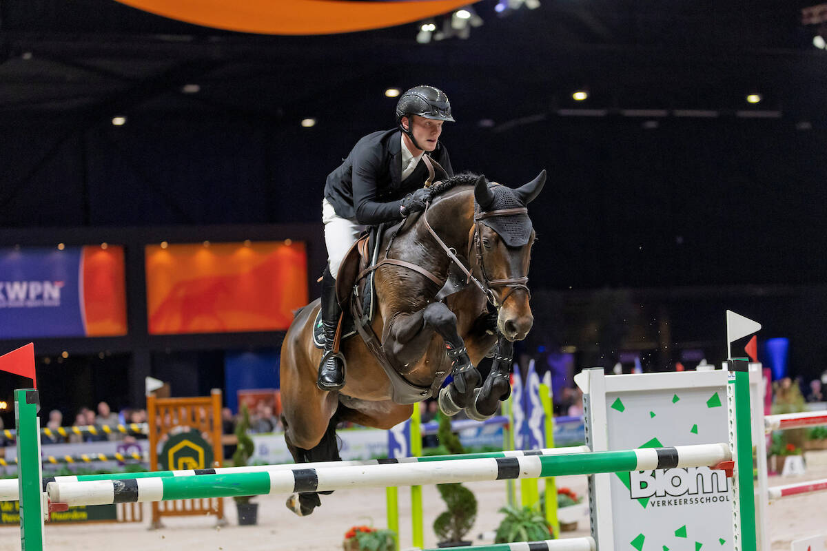 Bezoek de Anemone Horse Trucks Hengstencompetitie en Blom Hengstencompetitie in Groningen