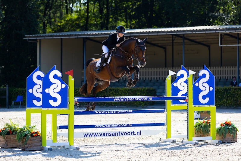 Finalisten WK vijfjarige springpaarden bekend