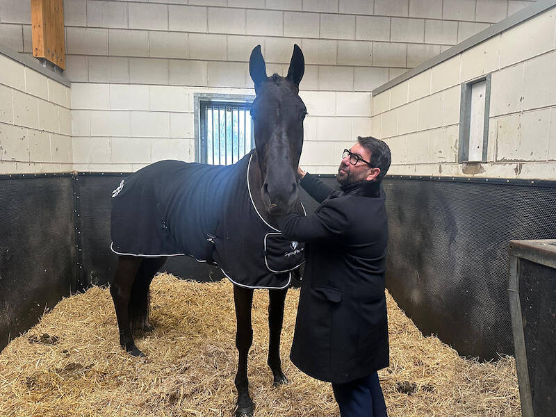 De KWPN-passie van Spaanse paardenliefhebber Teddy Beuzet