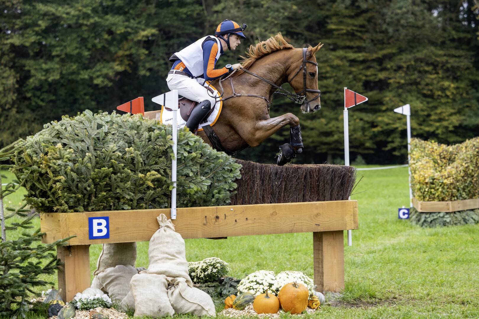 Boekelo: sterk resultaat voor Hallie Coon met Kapricio en Lucky Fortuna
