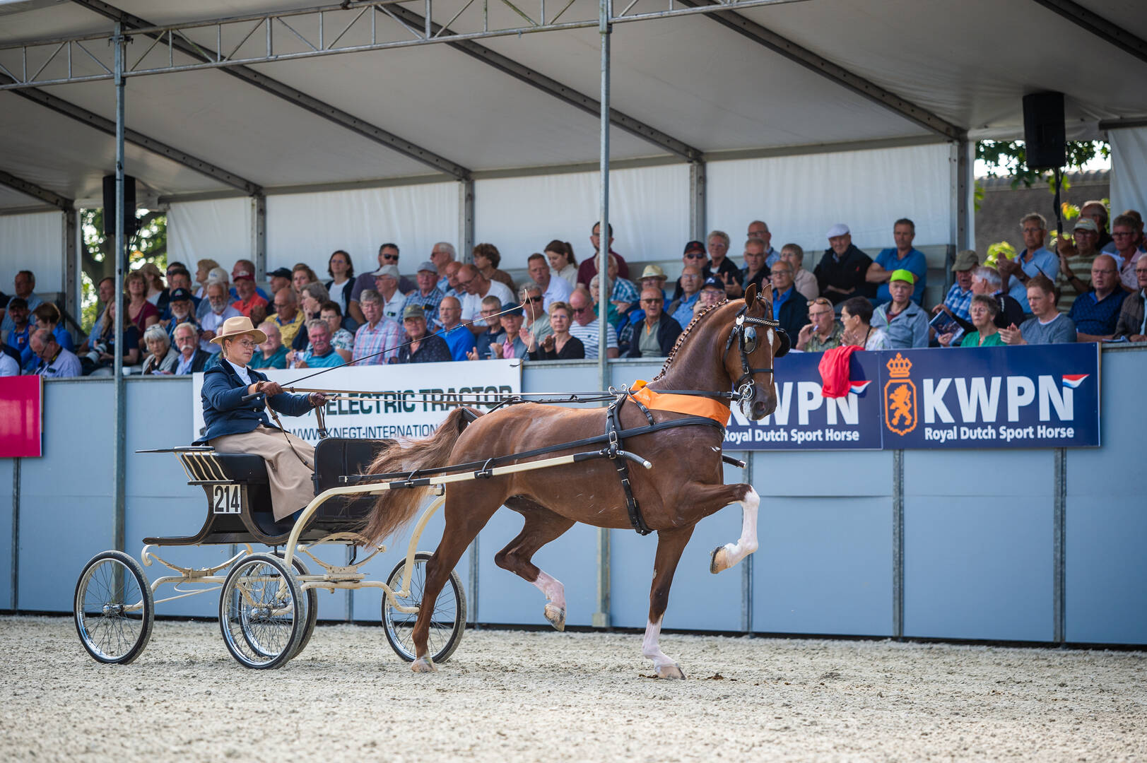 Wie winnen de Manno Trofee en de Westfort Hengstencompetitie?
